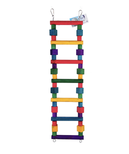 Adventure Bound Wooden Curve Medium Ladder Parrot Toy